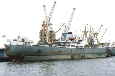 MIMINIA 240877a.jpg