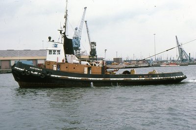 MASTERMAN 240877a.jpg