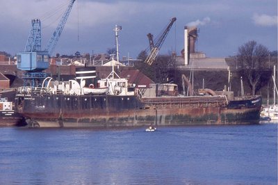 HEXHAMSHIRE LASS 1187.jpg