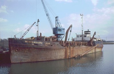 HEXHAMSHIRE LASS 130490.jpg