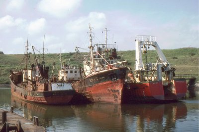 BEN GLAS-BEN LORA-BEN ROY 180782a.jpg