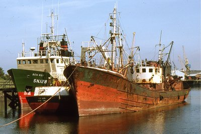 BEN GLAS-BEN-LORA-BEN ROY 180782a.jpg