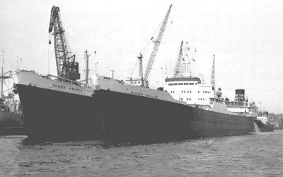 BORDER FUSILIER   1966-68   xx.jpg