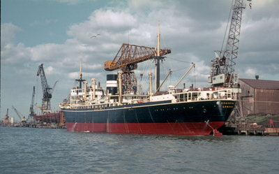 Chakdina, South Bank, 12 May 1968_1.jpg