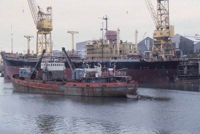 GRASSENDALE-UNITED SPIRIT 180782a.jpg