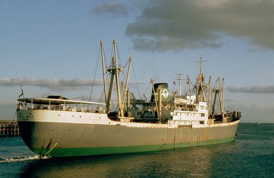 IKEJA PALM.jpg (334.84 KiB) Viewed 6304 times IKEJA PALM.jpg