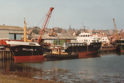 SELLINA C.jpg