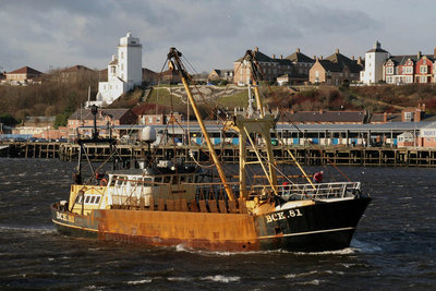 BCK 81 fishing boat.jpg