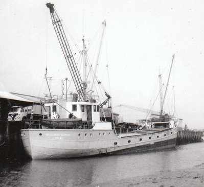 WILHELINA OLTMAN.jpg