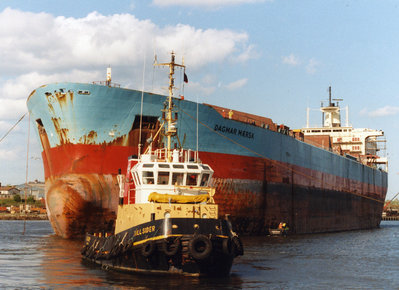 Dagmar Mearsk (2).jpg