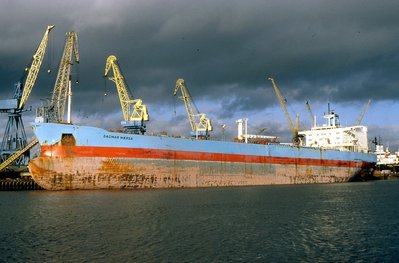 DAGMAR MAERSK 130196a.jpg