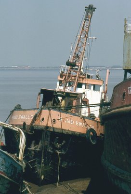 SAND SWALLOW II 090598a.jpg