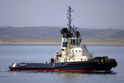 SVITZER CASTLE 280214a.JPG