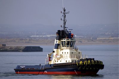 SVITZER CASTLE 280214b.JPG