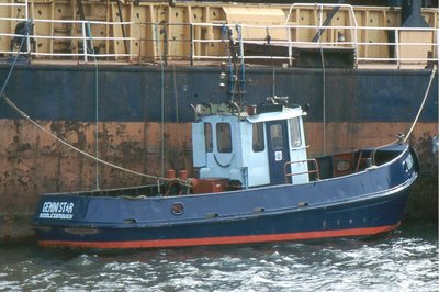 GEMINI STAR 100395a.jpg