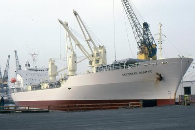 CARIBBEAN MERMAID 010793a.jpg