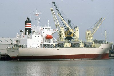 CARIBBEAN MERMAID 010793b.jpg