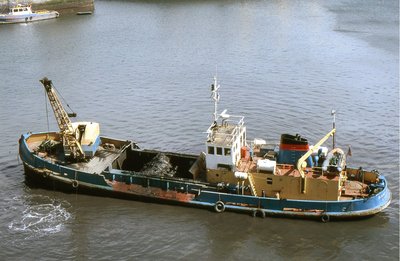 SAND SWALLOW II 010887b.jpg