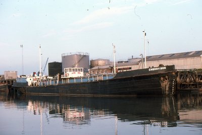 CHERRYBEE 250785a.jpg