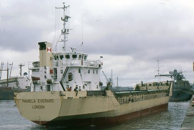 PAMELA EVERARD 230787b.jpg