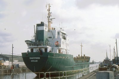 EASTFERN 120898b.jpg