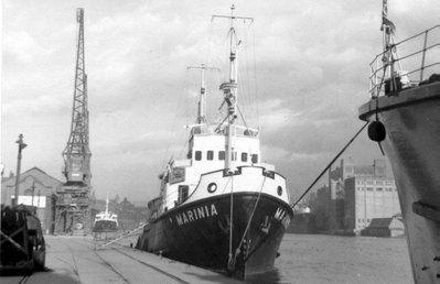 Marinia.JPG