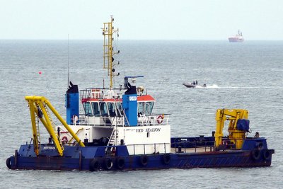 14249ukd-sealion-050514x2.jpg