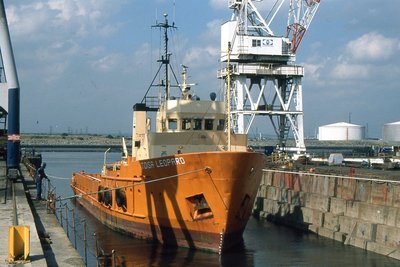 TOISA LEOPARD 070998a.jpg