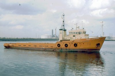 TOISA LEOPARD 070998b.jpg