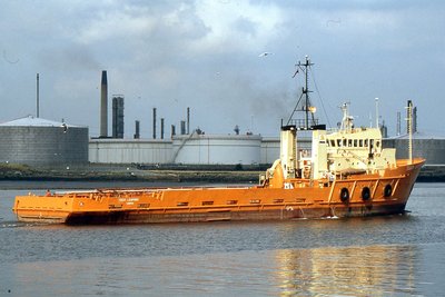 TOISA LEOPARD 070998c.jpg