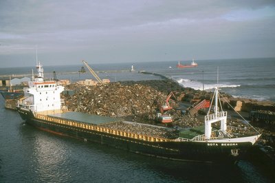 SOTA BEGONA 161183a.jpg