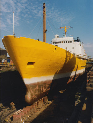 TRINITY EXPLORER (1).jpg