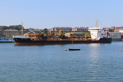 Sand Falcon, 25 July 2014 (4)_1.JPG