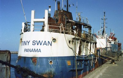 tiny swan 1944 ex high heat in grenaa 1999 zomer.jpg