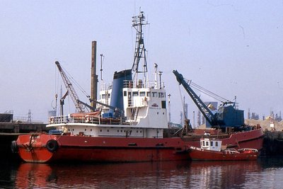 ABLE TEES 1 310792a.jpg