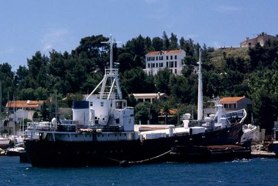 BEIJERLAND1957asSANCARLOSBEBD.jpg