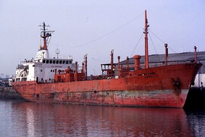 AMPILLA 110395a.jpg