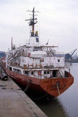 AMPILLA 110395b.jpg