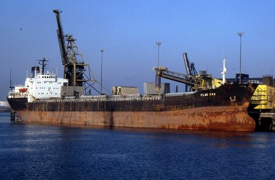 FLAG EVA 191193a.jpg