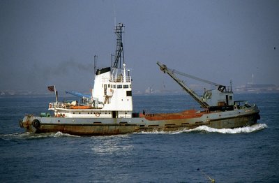 SAND SWALLOW III 231090a.jpg (273.77 KiB) Viewed 18287 times SAND SWALLOW III 231090a.jpg