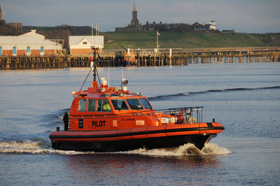 Collingwood (a) ##.jpg