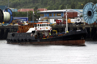 08) Sauria (21.06.12).jpg