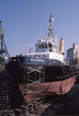 POWERFUL 070588b.jpg