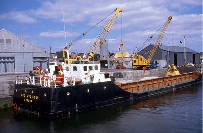 HOO WILLOW 070890a.jpg