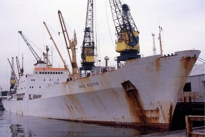 IONIC REEFER 280794b.jpg