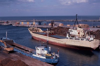 SUMMITY-ELVI KULL 190487a.jpg