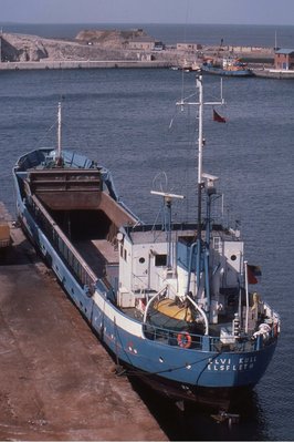 ELVI KULL 190487b.jpg