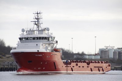 15) FS Cygnus (24.03.15).jpg