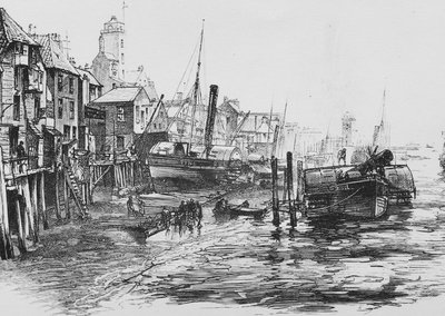 Tyne and Seagull.jpg