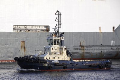 10) Lady Madeleine (01.04.15).jpg